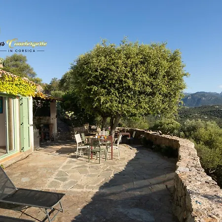 Ficaja 10 Pers Jacuzzi Vue Pinarello